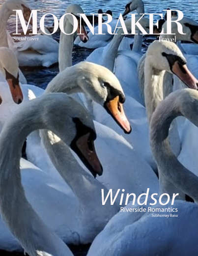 Featured cover 12